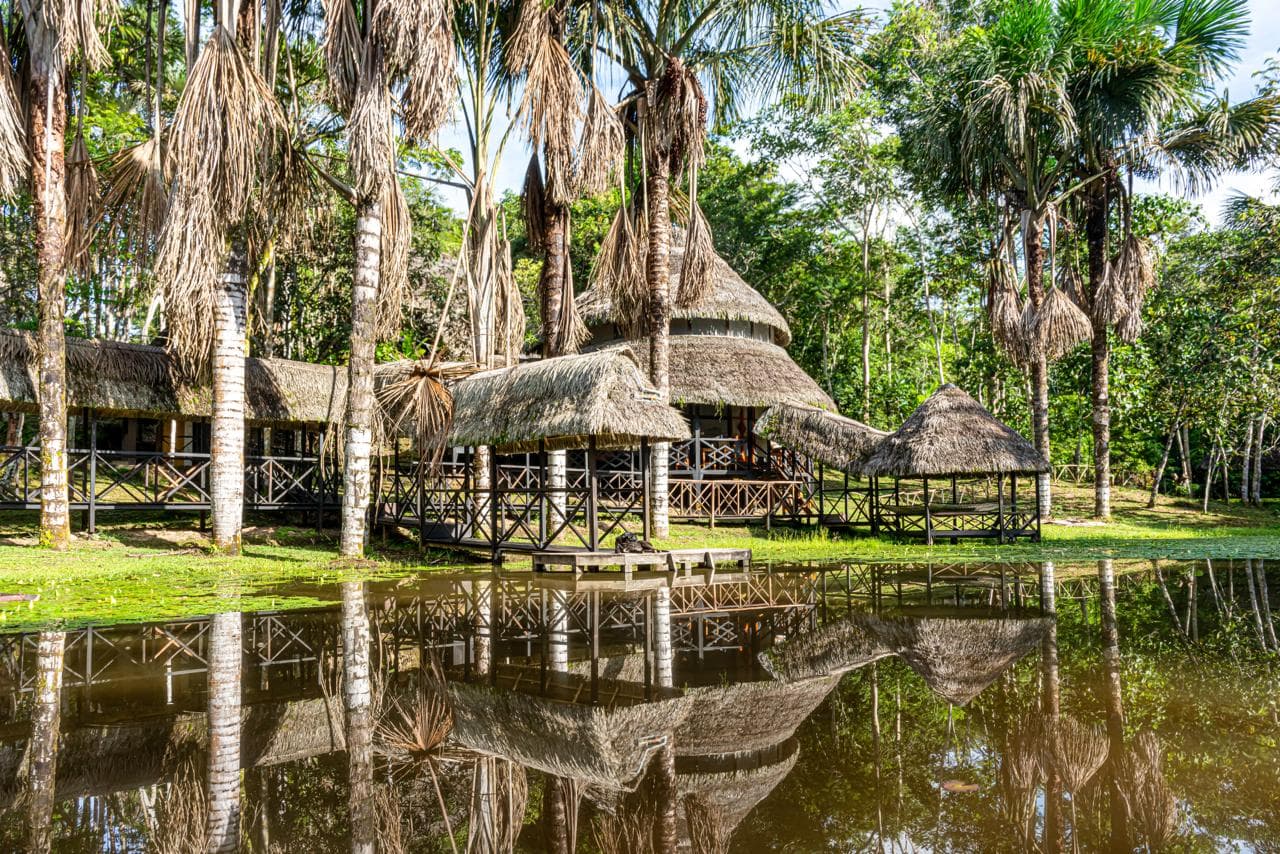 Communal big house at Dreamglade