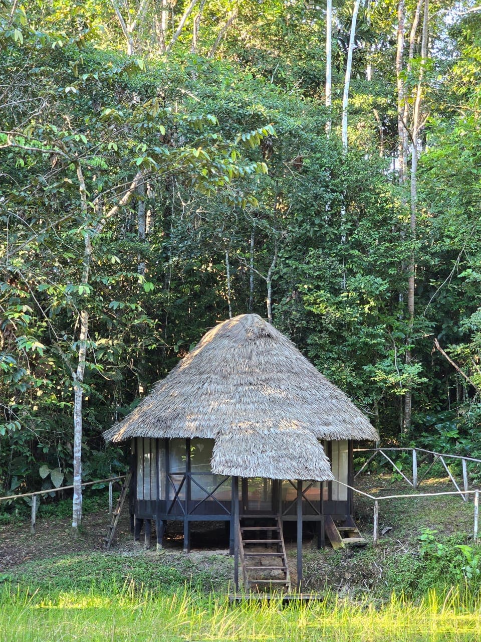 Private tambo cabin surrounded by rainforest at Dreamglade