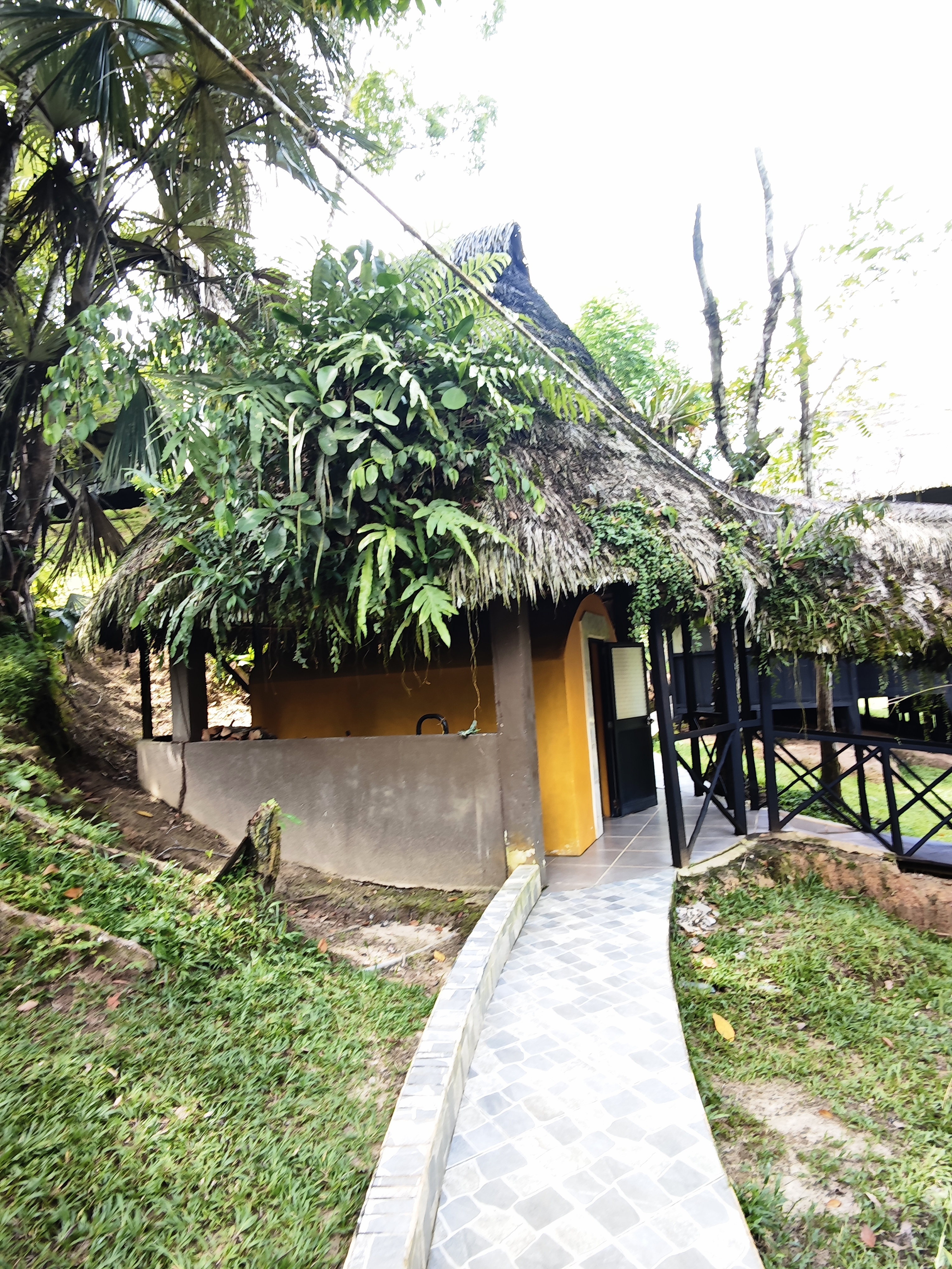 The sauna at Dreamglade, built of natural wood beside the trees
