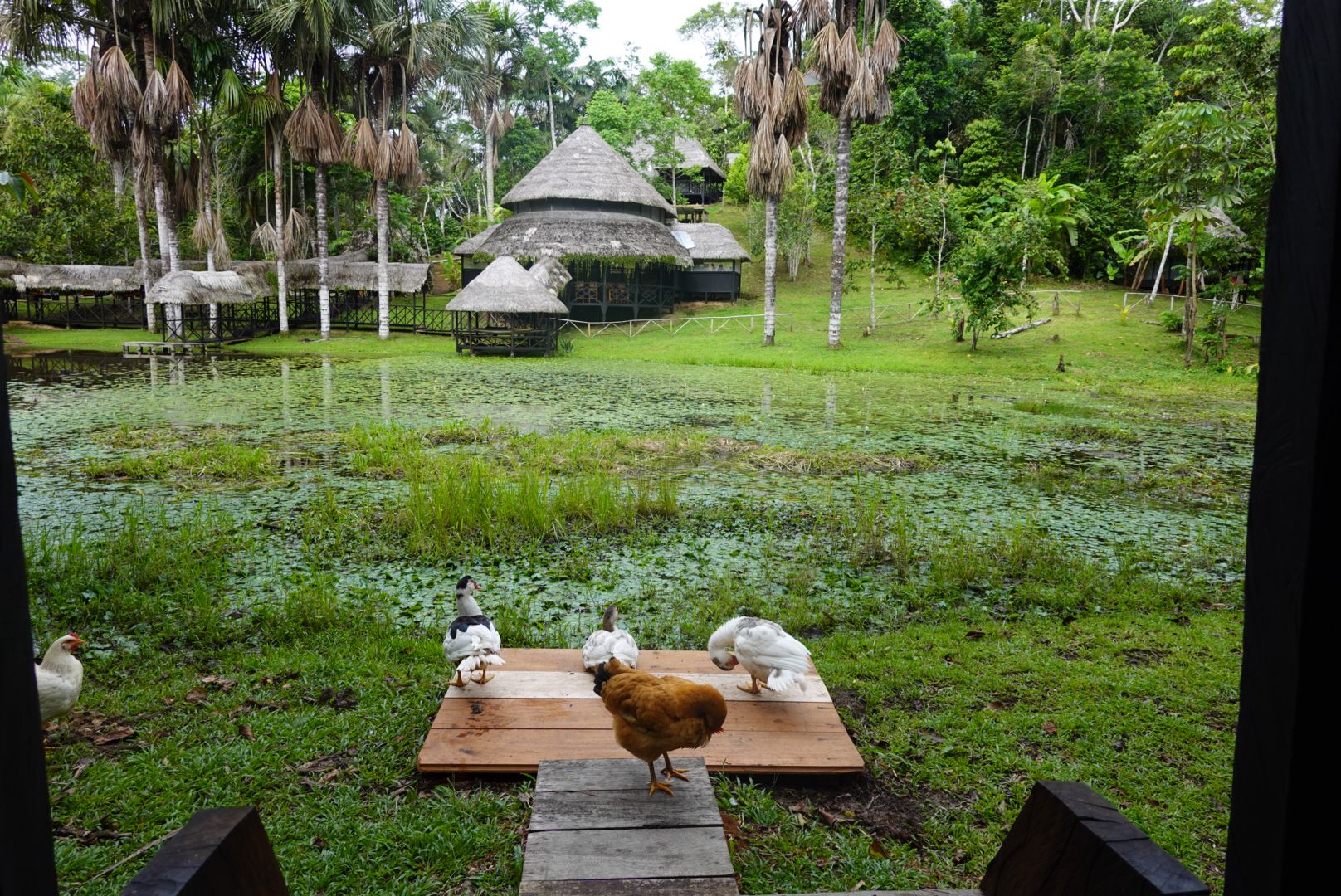 Lake and tambo at Dreamglade